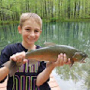 Meet your Posher, Shane